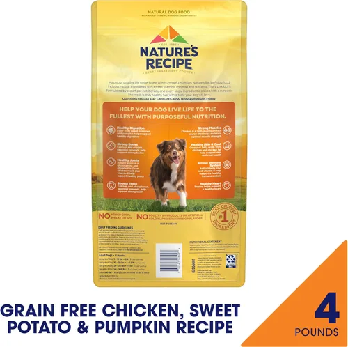 Miniatura 2 de Nature′s Recipe Alimento seco para perros con receta de pollo, batata y calabaza sin granos, bolsa de 4 libras