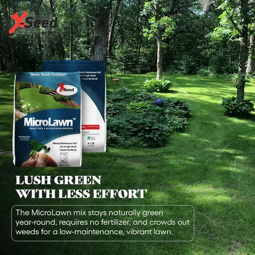 Miniatura 6 de X-Seed Microlawn - Mezcla de semillas de césped y microtrébol: césped denso autoalimentable, sol y sombra, elimina las malas hierbas, alto tráfico