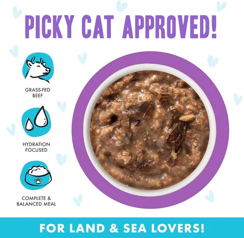 Miniatura 3 de Weruva B.F.F. OMG - Best Feline Friend Oh My Gravy!, Booya! - Alimento para gatos con carne de res y pollo en salsa, bolsa de 2.8 onzas
