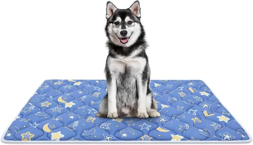 Miniatura 17 de Bubble bear - Tapete para jaula de perro ultra suave, lavable y antideslizante para perros pequeños, medianos y grandes, de color oscuro