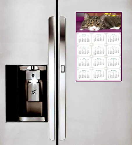 Miniatura 4 de Calendario magnético 2025 – Imanes del calendario – Today is my Lucky Day – Resistente a la decoloración, desgarros y agua – Temática de gato 022