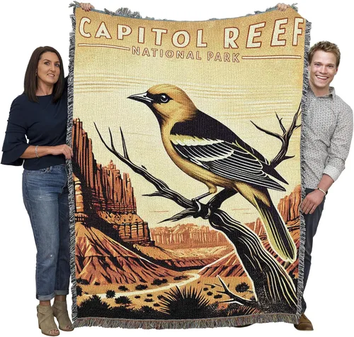 Miniatura 74 de Pure Country Weavers Manta del Parque Nacional Acadia, manta de tapiz de algodón para regalo, fabricada en los Estados Unidos, 72 x 54 pulgadas