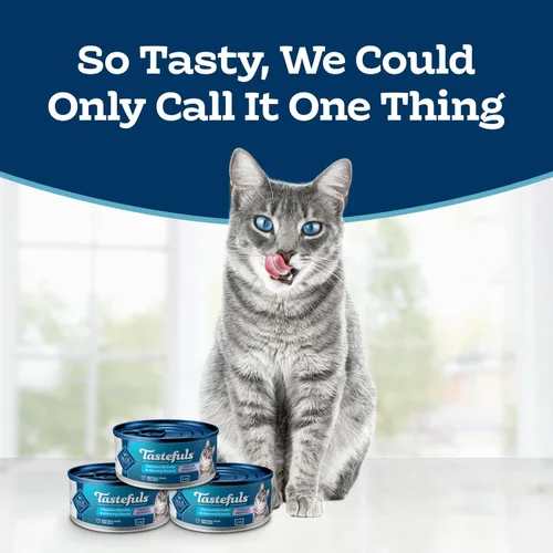 Miniatura 2 de Blue Buffalo Tastefuls Tender Morsels - Comida húmeda para gatos adultos con salsa salada, ingredientes naturales mejorados con vitaminas, minerales