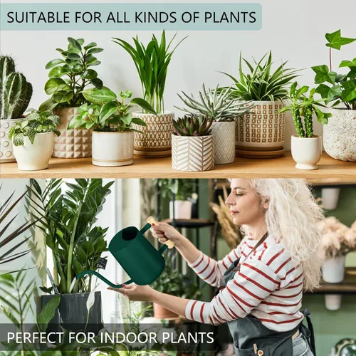 Miniatura 4 de Regadera para plantas de interior, 35 onzas, pequeña regadera de metal de acero inoxidable para interiores, moderna maceta decorativa con boquilla