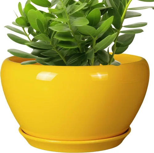 Miniatura 64 de Maceta de Cerámica Moderna con Esmalte para Suculentas con Agujero de Drenaje y Platillo, Maceta Redonda de 6 Pulgadas para Plantas de Flores
