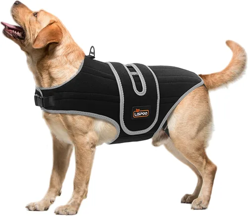 Miniatura 8 de Soporte de espalda para perro para IVDD, soporte espinal de apoyo completo con soportes metálicos para enfermedades del disco, alivio del dolor