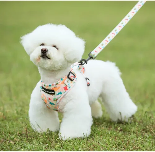 Miniatura 5 de Juego de arnés ajustable y correa para perro hembra de malla de aire, arnés de chaleco para perro, correa de entrenamiento para perros de 5 pies