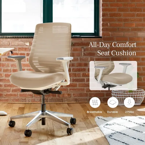 Miniatura 8 de Silla ergonómica Branch - Una silla de escritorio versátil con soporte lumbar ajustable, respaldo de malla transpirable y ruedas suaves - Grafito