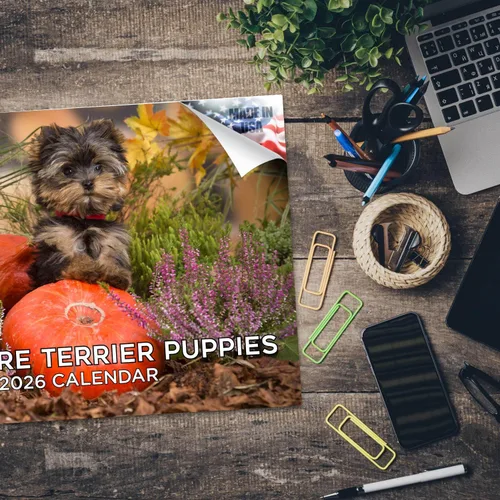 Miniatura 96 de Razas de Perros 2017 ESKIMO AMERICANO