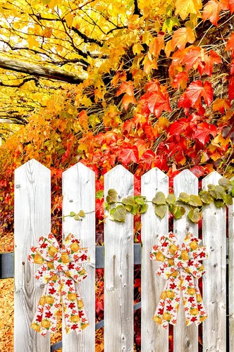 Miniatura 4 de Estivaux Cintas de otoño para manualidades y envoltura de regalos, borde con alambre de Acción de Gracias, color naranja, lazo de buralp natural