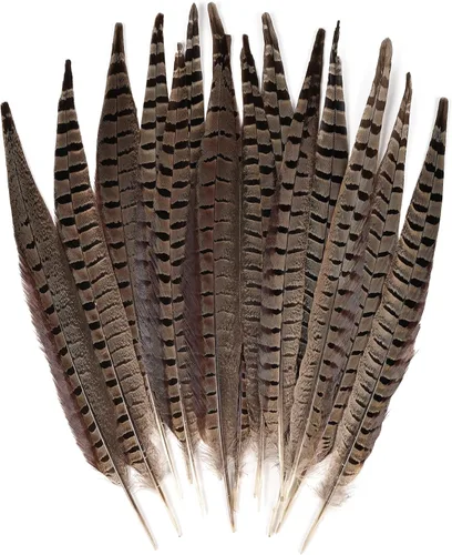 Miniatura 9 de MAOFENG 12 plumas naturales femeninas de cuello de anillo, plumas de faisán de 6 a 8 pulgadas, 5.9-7.9 in para manualidades, bodas, fiestas