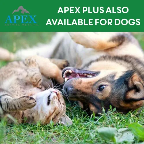 Miniatura 9 de Tratamiento antipulgas Apex Plus para gatos, 1,5+ libras Suministro de 3 meses Gotas para el tratamiento de pulgas y garrapatas para gatos