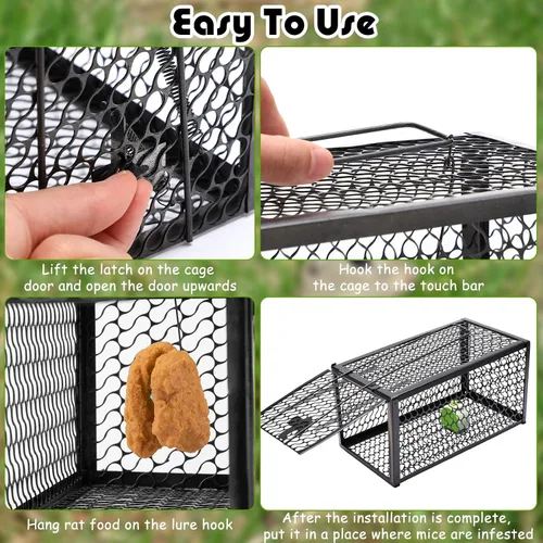 Miniatura 5 de Qualirey Trampa humana para ratas, ardilla, roedor, ratón, ardilla, trampa para ardillas, 11 x 6 x 6 pulgadas, para animales vivos, ratones