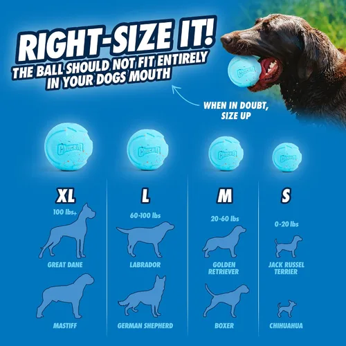 Miniatura 7 de Chuckit! Pelota Rebounce para Perros – Pelotas de buscar rebotantes para perros de 20 a 60 libras – Hecha de goma duradera – Juguetes para mascotas