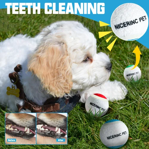 Miniatura 3 de Pelotas de tenis para perros XS de 1.72 pulgadas, paquete de 12, lanzadores de pelotas