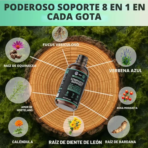Miniatura 2 de HERBIFY Gotas de drenaje linfático para desintoxicación hepática y apoyo inmunológico, gotas de apoyo del sistema linfático, limpieza