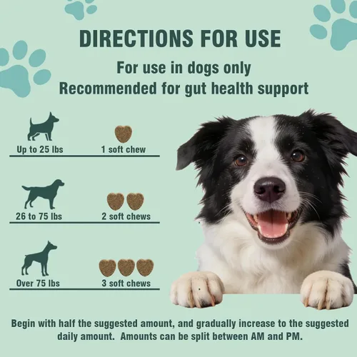 Miniatura 6 de Probióticos para perros, 200 masticables suaves, apoyan la salud intestinal, alivio de la diarrea, alergias estacionales, masticables probióticos