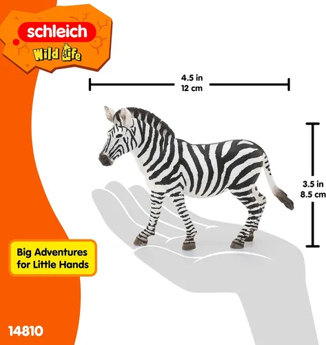 Miniatura 5 de Schleich Wild Life - Figura de cebra femenina realista – Juguete auténtico y altamente detallado de animales salvajes, duradero para la educación