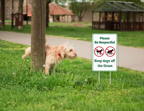 Miniatura 5 de WhatSign Letrero de perro con estacas de doble cara de 8 x 12 pulgadas, con estacas "Please Pick Up After Your Dog