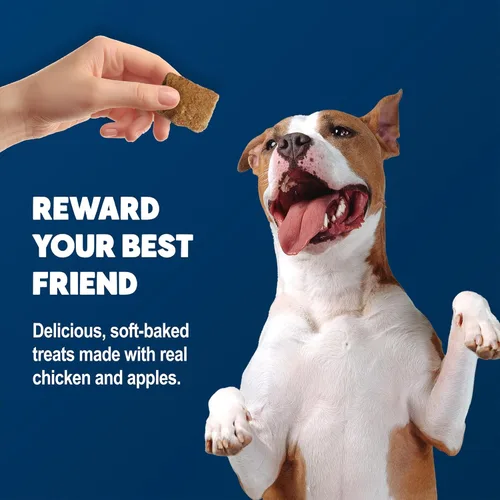 Miniatura 4 de Blue Buffalo BeneBars - Golosinas de apoyo digestivo para perros con fibra prebiótica, hechas con ingredientes naturales, pollo y manzana de EE.