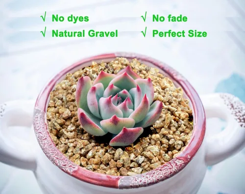 Miniatura 4 de Boniosz 2 libras Rocas de Maifanitum para plantas suculentas y cactus, piedras decorativas y aditivas, piedras de grava para bonsái, jardinería