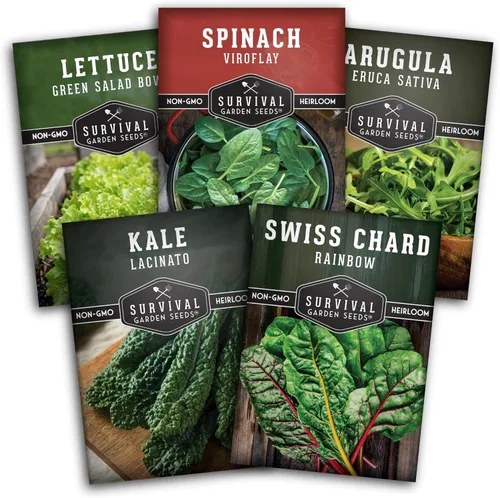 Survival Garden Seeds Colección 5 Verduras Bóveda de Semillas – Cultiva Vegetales de Hoja Verde Reliquia Sin OGM – Espinaca Viroflay, Rúcula, Col