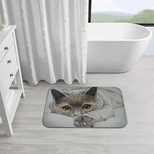Miniatura 4 de Tapete de baño para gatos, tierra de diatomeas, súper absorbente, antideslizante, de secado rápido, tapete de baño o cocina, 16 x 24 pulgadas