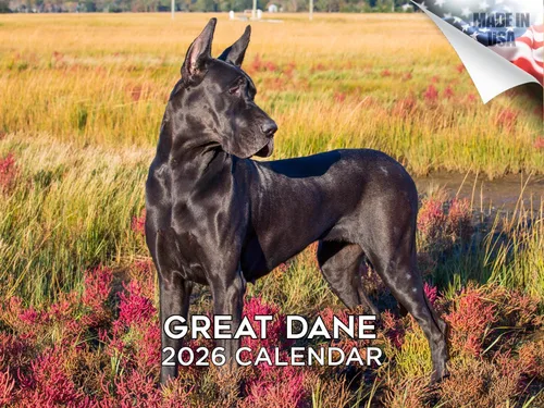 Miniatura 114 de Calendario 2025 2026 de cachorros Cocker Spaniel - Calendario mensual de pared de raza de perro - 12" x 24" abierto - Papel grueso sin sangrado
