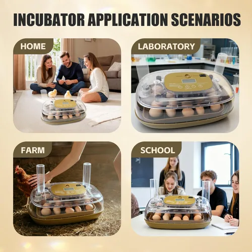 Miniatura 9 de Syluris Incubadoras para incubar huevos, incubadora de 24 huevos con giro automático de huevos y control de humedad, vela de huevos, visualización