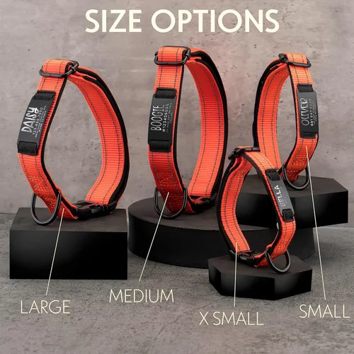 Miniatura 8 de ACTUALIZADO - Collares de perro personalizados y placa de identificación grabada, collar de perro de nailon reflectante, personalizable en 11