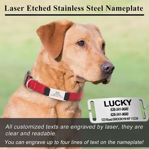 Miniatura 3 de Collares de perro personalizados con placa de nombre, etiquetas de identificación grabadas con collar de nailon reflectante, collar de neopreno