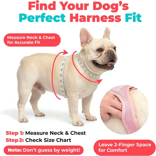 Miniatura 148 de Best Pet Supplies Voyager Step-in Air - Arnés para mascotas, malla para todo tipo de clima, reflectante, arnés sin tirón para perros y gatos - Arnés