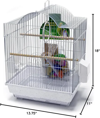 Miniatura 6 de PENN-PLAX Kit de iniciación para pájaros pequeños con jaula y accesorios, ideal para periquitos, tortolitos, loros, pinzones, canarios y más, jaula