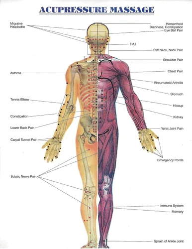Miniatura 8 de Reflexology - Masajeador tailandés tradicional de madera para cuerpo completo, gancho para espalda, spa, cara, terapia Gua Sha, herramienta