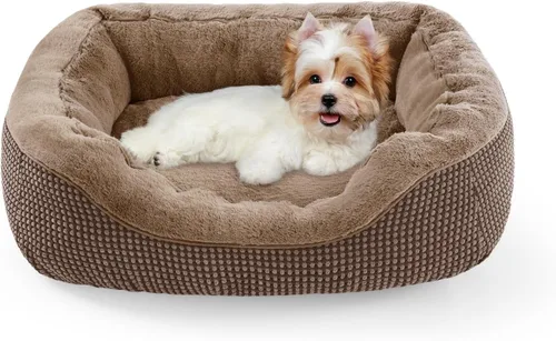 Miniatura 28 de INVENHO Cama para perros pequeños para perros pequeños, camas para gatos de interior, lavable, cama ortopédica para perros, cama cálida suave y Gris
