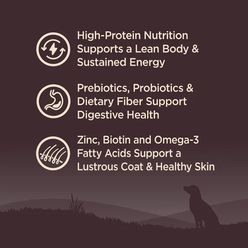 Miniatura 6 de Comida seca para perro sin granos Wellness Core Natural , Marrón/Naranja
