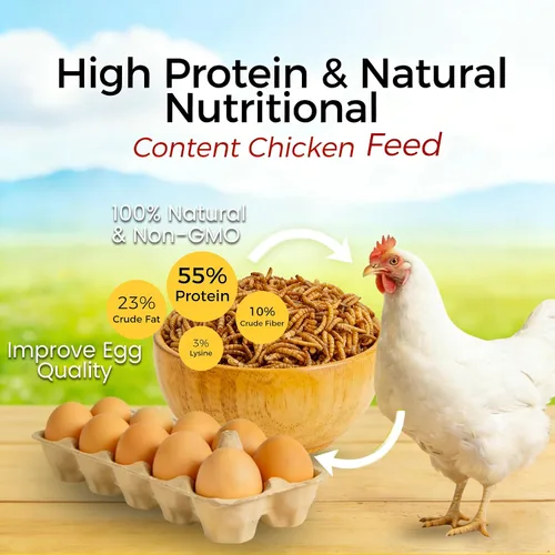 Miniatura 4 de RANZ 4.5 KG Gusanos secos sin OMGs para pollos, gusanos altos en proteínas, alimento premium para pollos, alimento perfecto para aves y golosinas