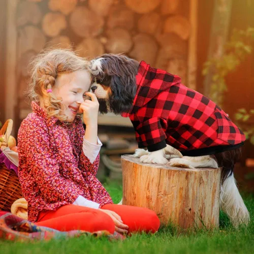 Miniatura 4 de Sudadera con Capucha a Cuadros Rojos para Perros, Ropa para Mascotas con Capucha y Bolsillo (XS)