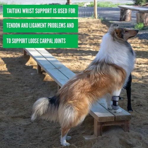 Miniatura 5 de Muñequera para perro, soporte de pierna delantera de grado veterinario para laxitud carpiana, lesiones, artritis y recuperación poscirugía - (XS)