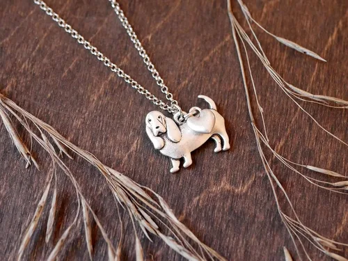 Miniatura 50 de Collar de raza de perro Grupo A