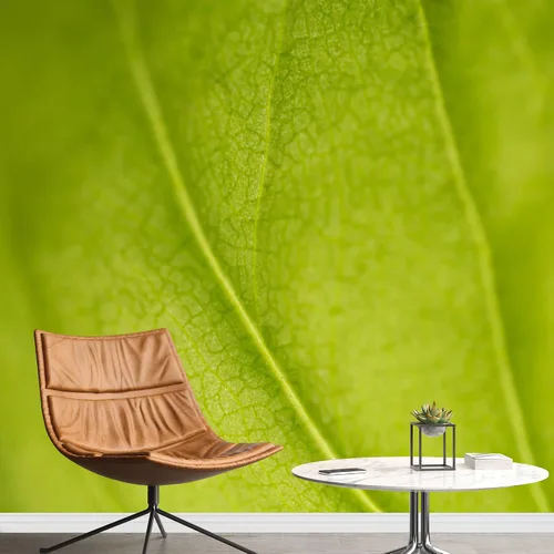 Miniatura 24 de Wall26 - La planta verde trepadora sobre una pared blanca crea un hermoso fondo - mural de pared removible papel pintado grande autoadhesivo