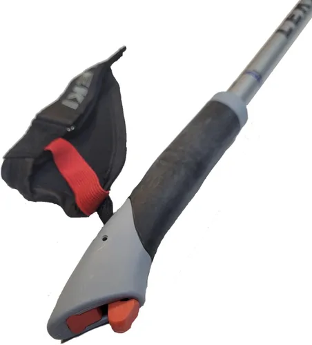 Miniatura 2 de LEKI Nordic Walking Amero Carbon Series - Bastones para caminar (45.3 in), color plateado