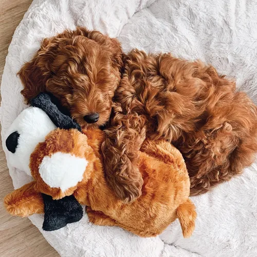 Miniatura 3 de Snuggle Puppy - Corazón SmartBeat de repuesto activado por movimiento para animales de peluche y juguetes antiansiedad para perros