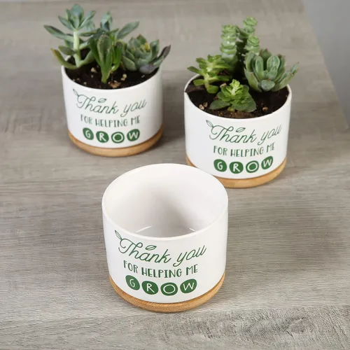 Miniatura 7 de DOMG Regalo de Apreciación para Maestros, Maceta de Cerámica para Suculentas Pequeña Maceta de Flores para Uso en Interior y Exterior, Gracias por