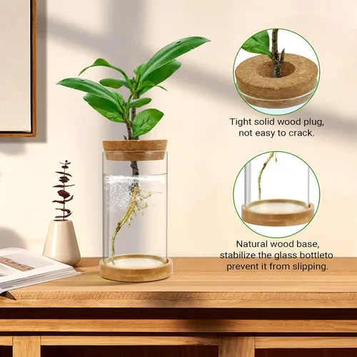 Miniatura 2 de Estaciones de propagación de plantas, paquete de 3 terrarios de plantas, tarros de propagación de vidrio hidropónicos para plantas