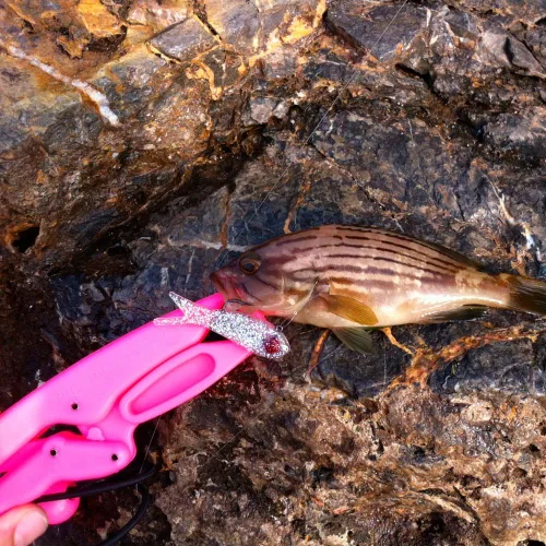 Miniatura 3 de The Fish Grip Jr.