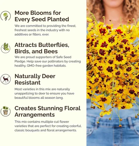 Miniatura 4 de Eden Brothers Flowery Fields Forever Flower - Semillas mixtas para plantar, 1/4 libras, más de 120,000 semillas con aciano, Candytuft Atrae