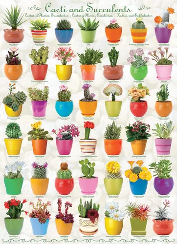 Miniatura 2 de EuroGraphics Rompecabezas de cactus y suculentas (1000 piezas)