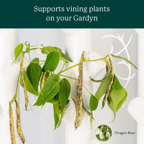 Miniatura 4 de Accesorio de sistema de cultivo hidropónico Gardyn Trellis que admite plantas trepadoras de interior – Paquete de 5