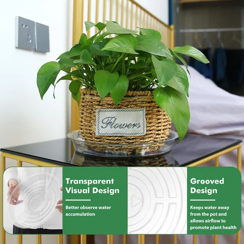 Miniatura 5 de Paquete de 36 platillos transparentes para plantas en interiores (4, 6, 8, 10, 12, 14 pulgadas), platillos para macetas para plantas en maceta